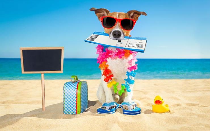 What Holiday Is Today CalendarHours