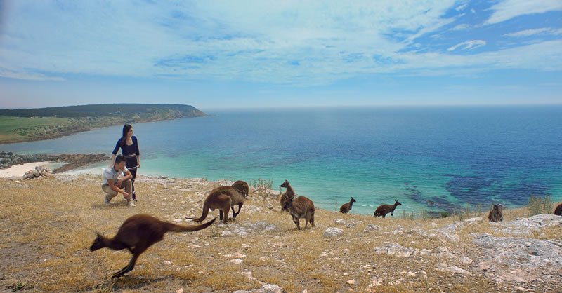 aest-time-now-australian-eastern-standard-time-zone