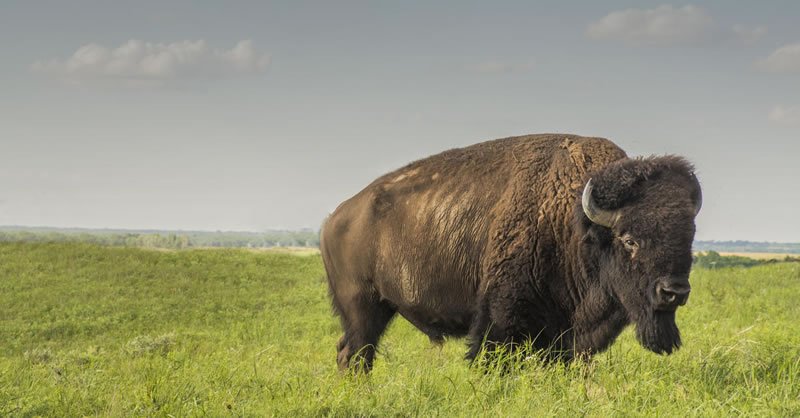 CURRENT TIME IN KANSAS CITY WITH SECONDS visual data 8